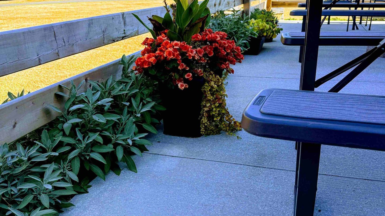 Photo of Patio Balcony in Tabusintac