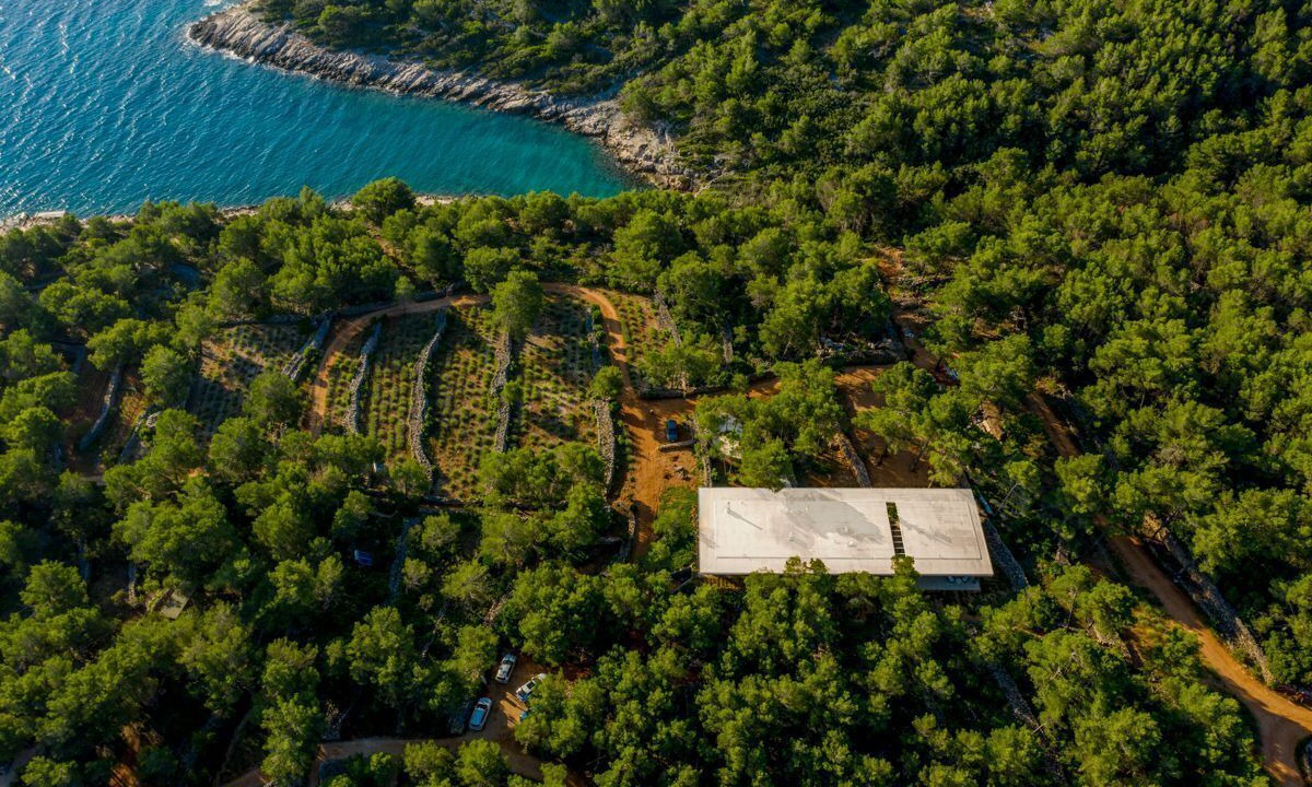 Photo of Others in Vrboska