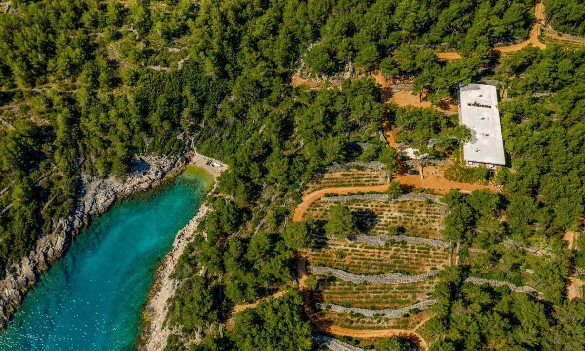 Photo of Others in Vrboska