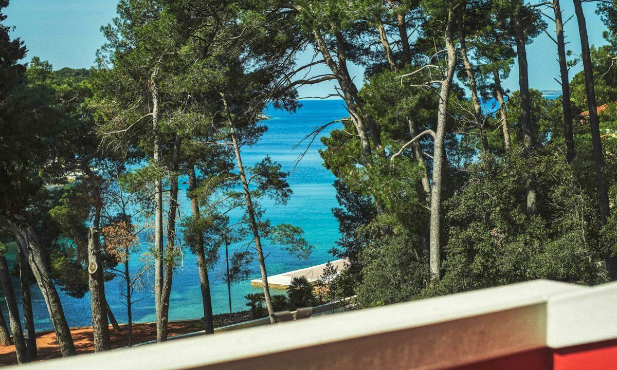 Photo of Others in Cove Murtar