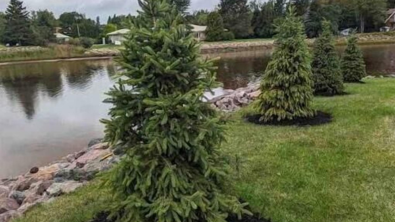 Photo of Outdoor in Shediac