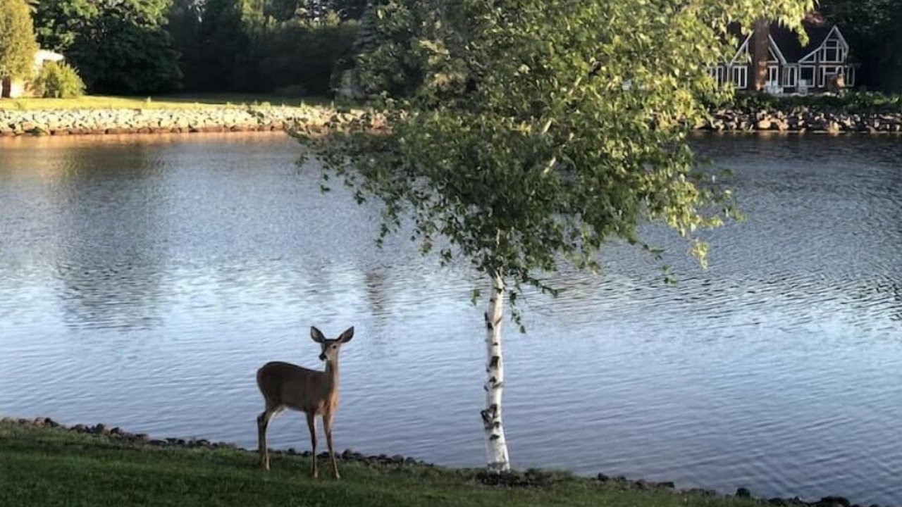 Photo of Others in Shediac