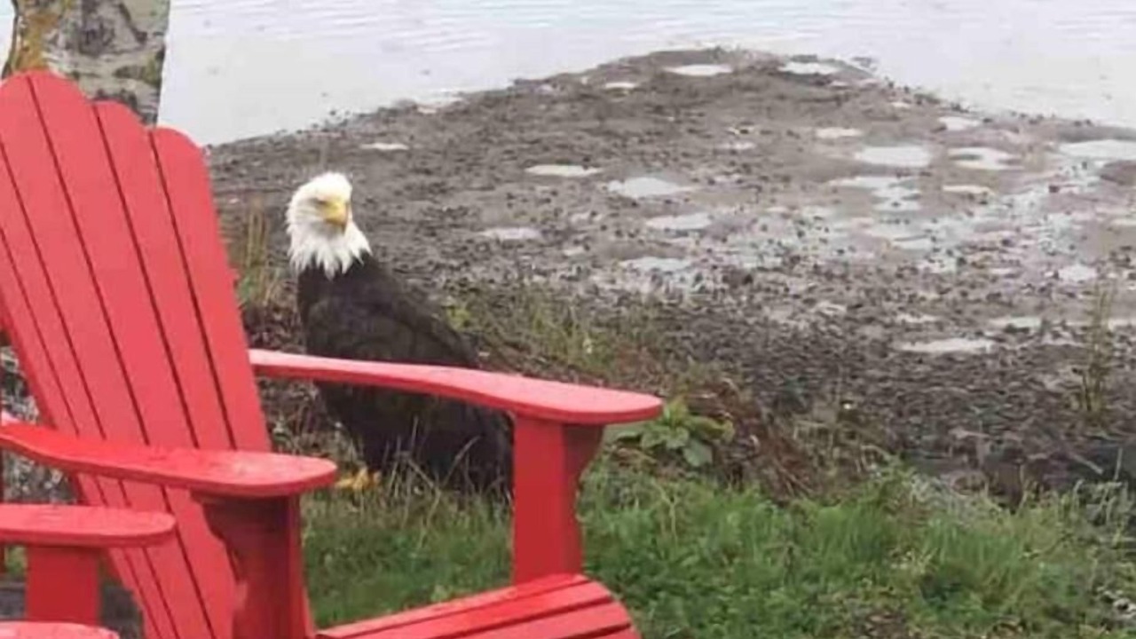 Photo of Outdoor in Shediac