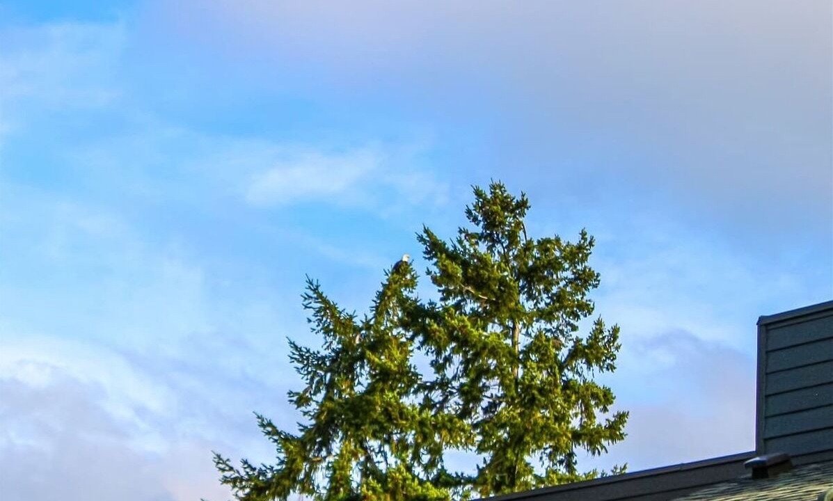 Photo of Others in Adelma Beach