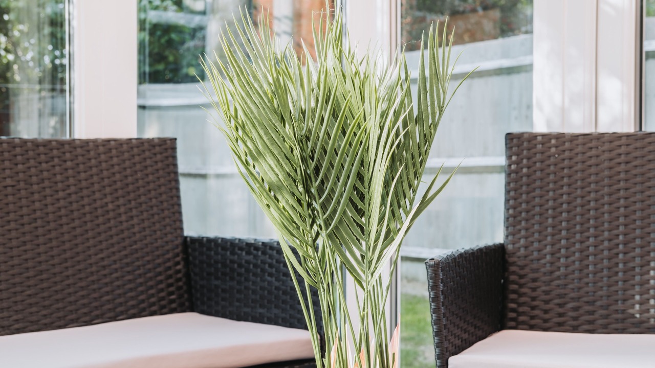 Photo of Others in Bedford