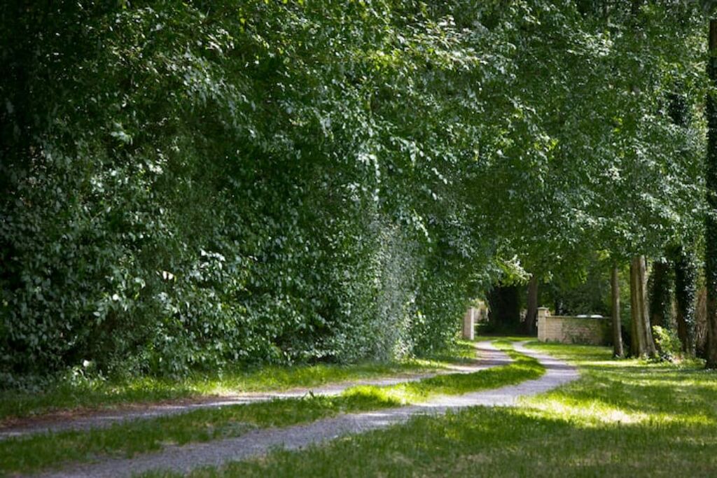 Photo of Outdoor in Tilly-sur-Seulles