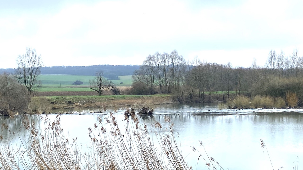 Photo of Others in Rochefort-sur-Nenon