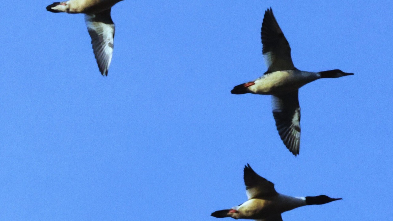 Photo of Others in Rochefort-sur-Nenon