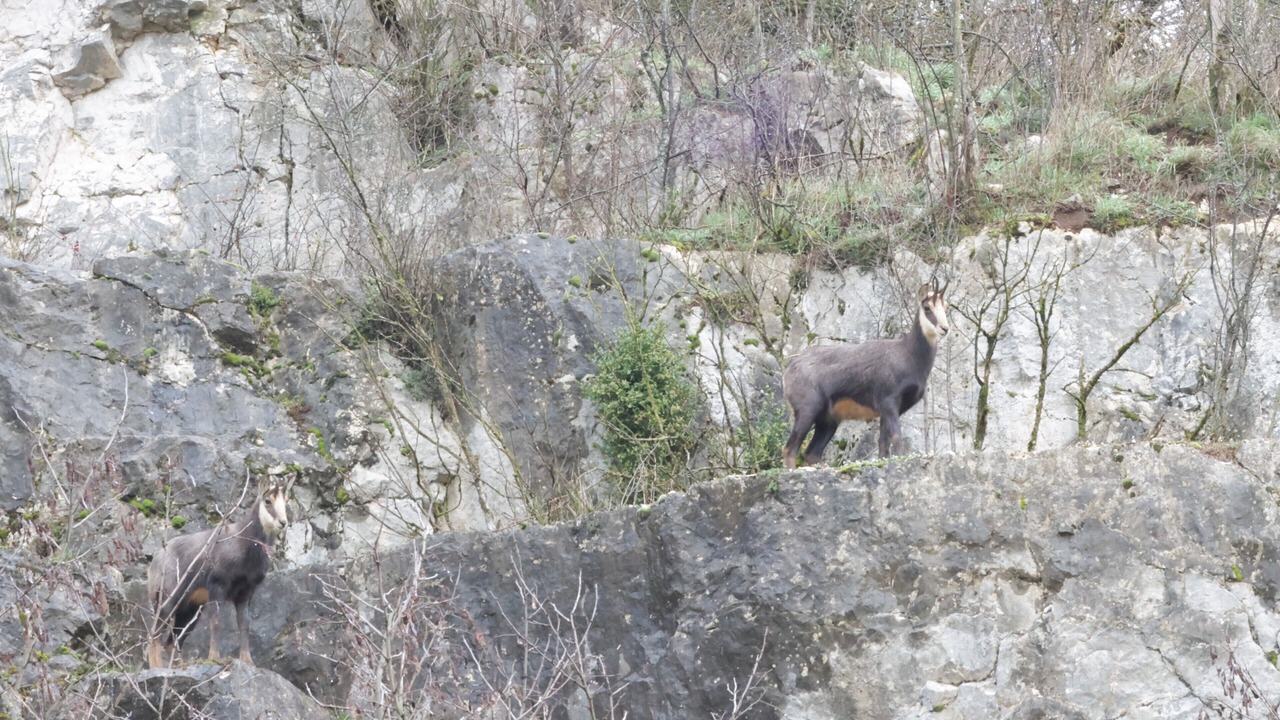 Photo of Others in Rochefort-sur-Nenon
