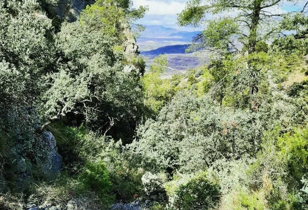Photo of Outdoor in Alguena