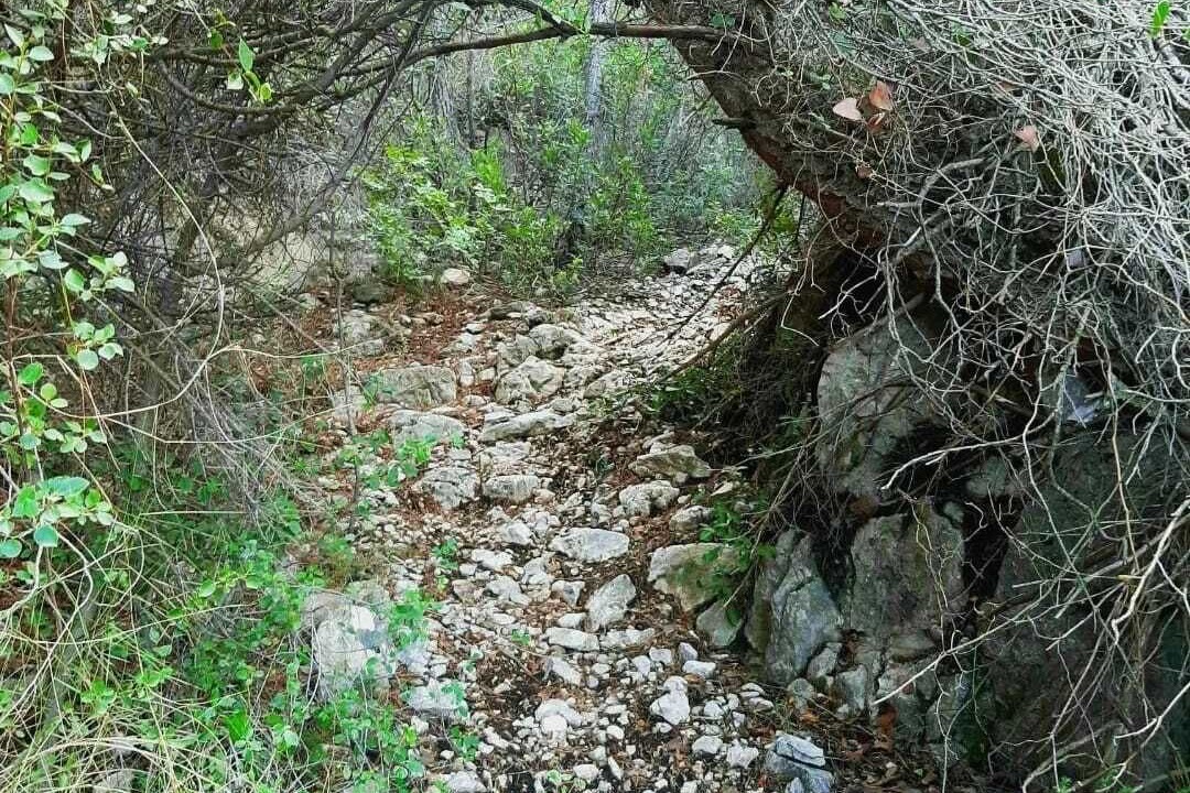 Photo of Outdoor in Alguena