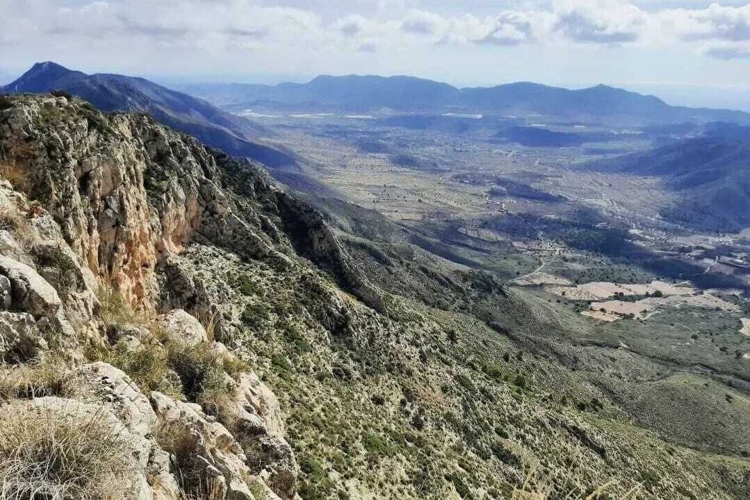 Photo of Others in Alguena
