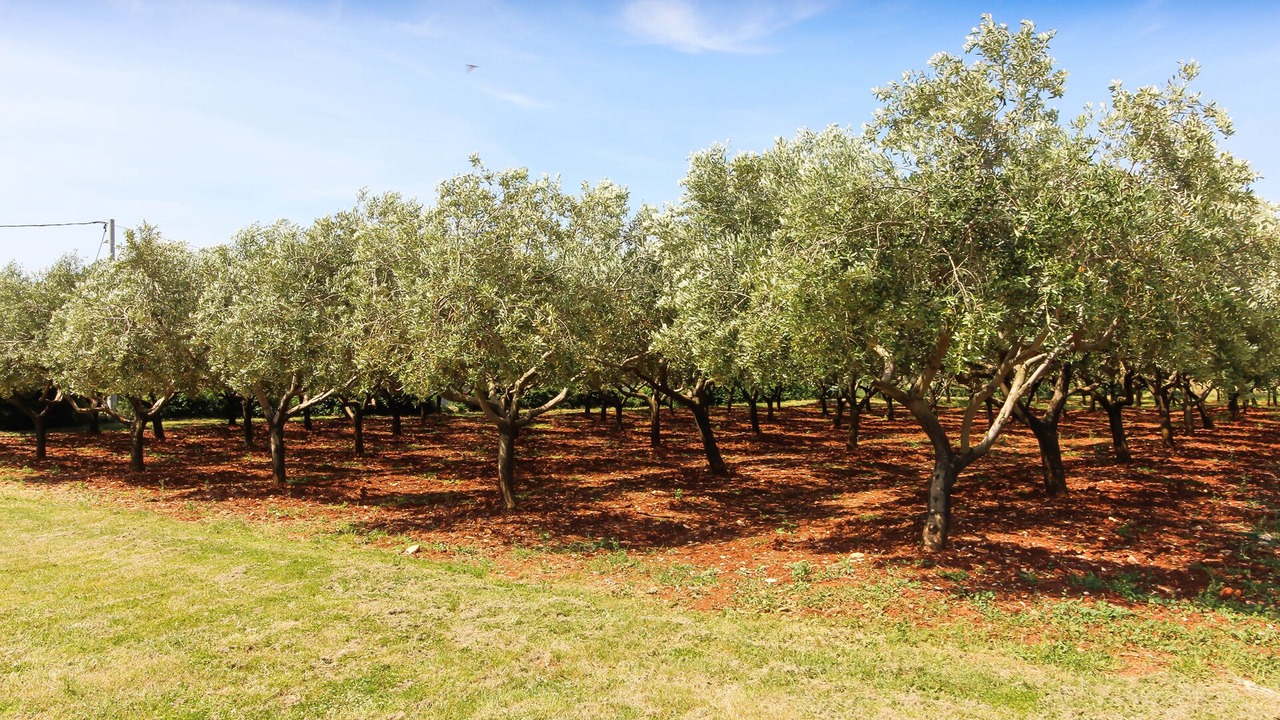 Photo of Outdoor in Valtura