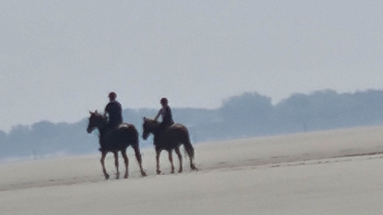 Photo of Others in Petit-Fort-Philippe