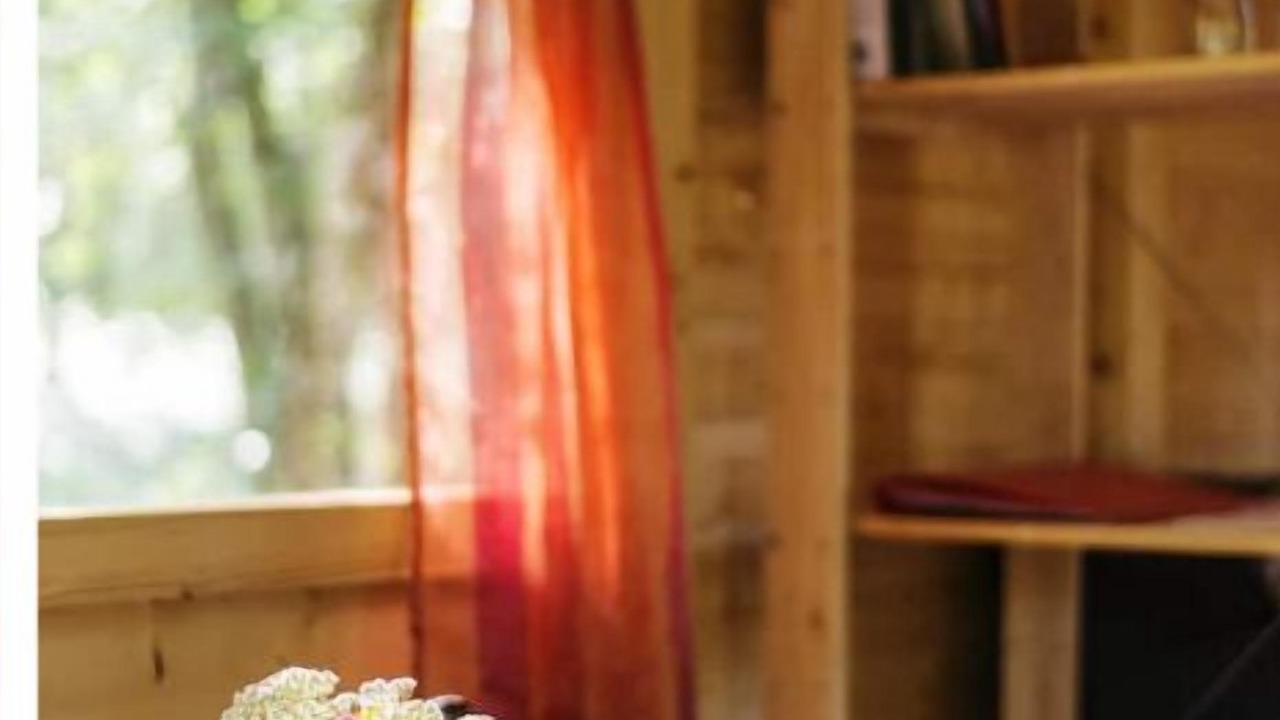 Photo of Others in Sougeres-en-Puisaye