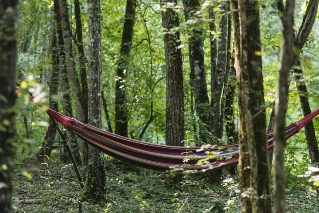 Photo of Outdoor in Sougeres-en-Puisaye