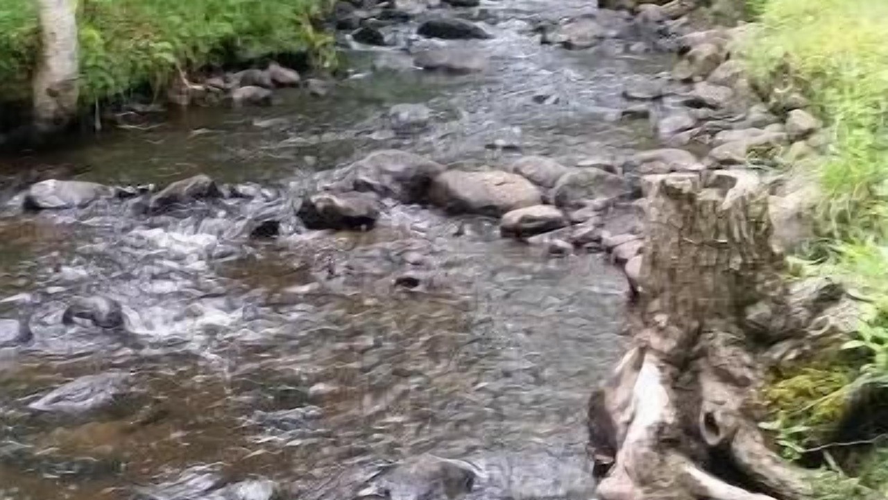 Photo of Others in Johnsburg