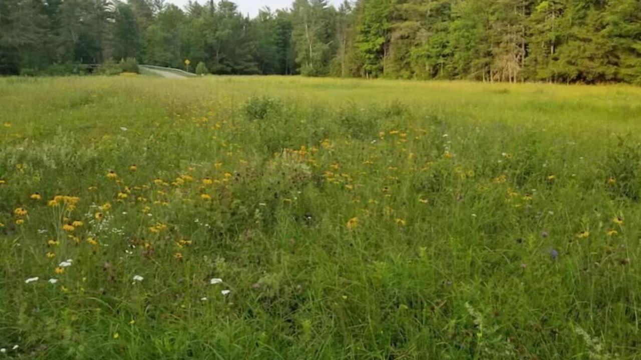 Photo of Others in Johnsburg