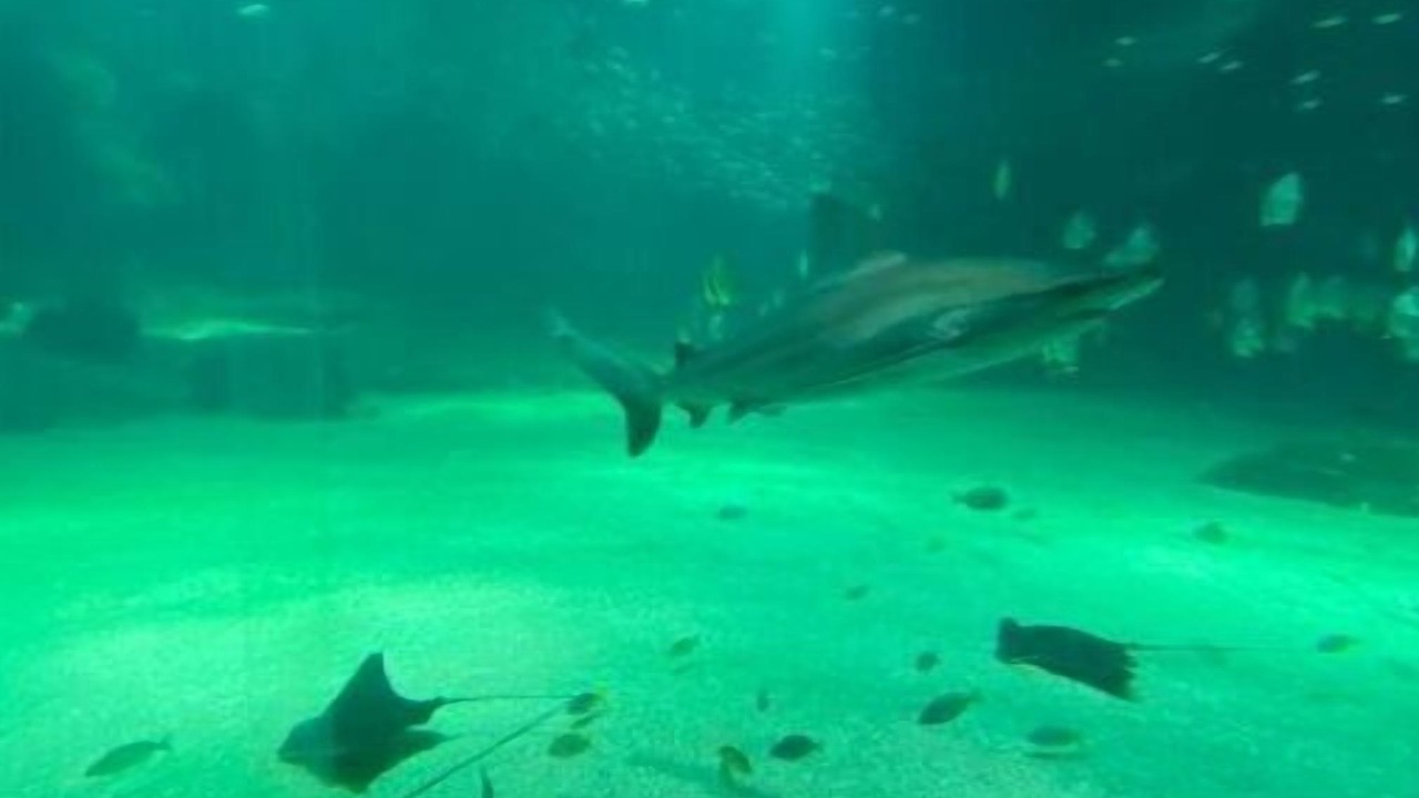 Photo of Bathroom in Boulogne-Centre