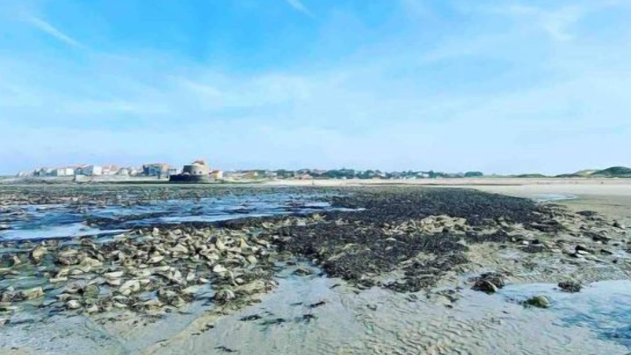 Photo of Others in Boulogne-Centre