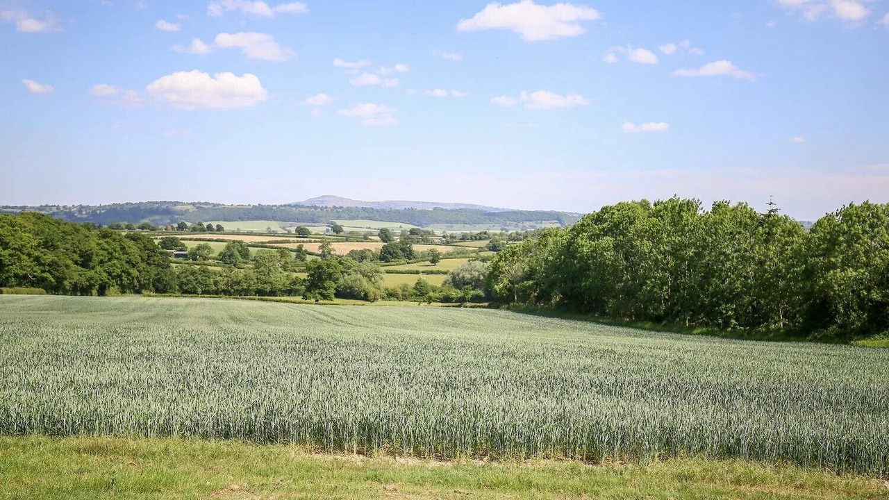 Photo of Others in Craven Arms