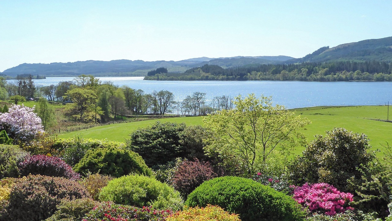 Photo of Others in Dalmally