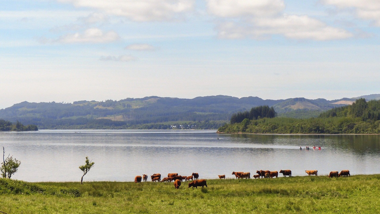 Photo of Others in Dalmally