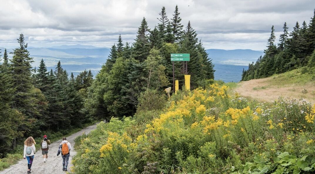 Photo of Others in Stratton Mountain