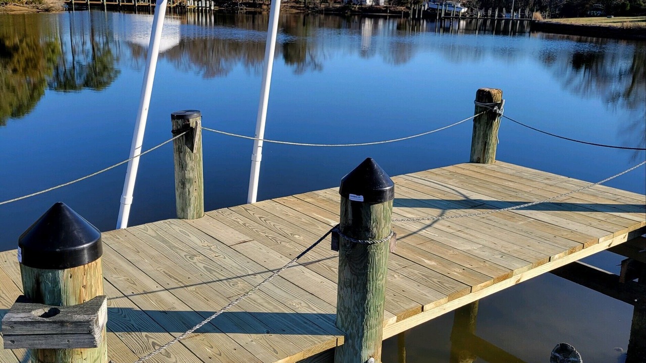 Photo of Others in Avenue