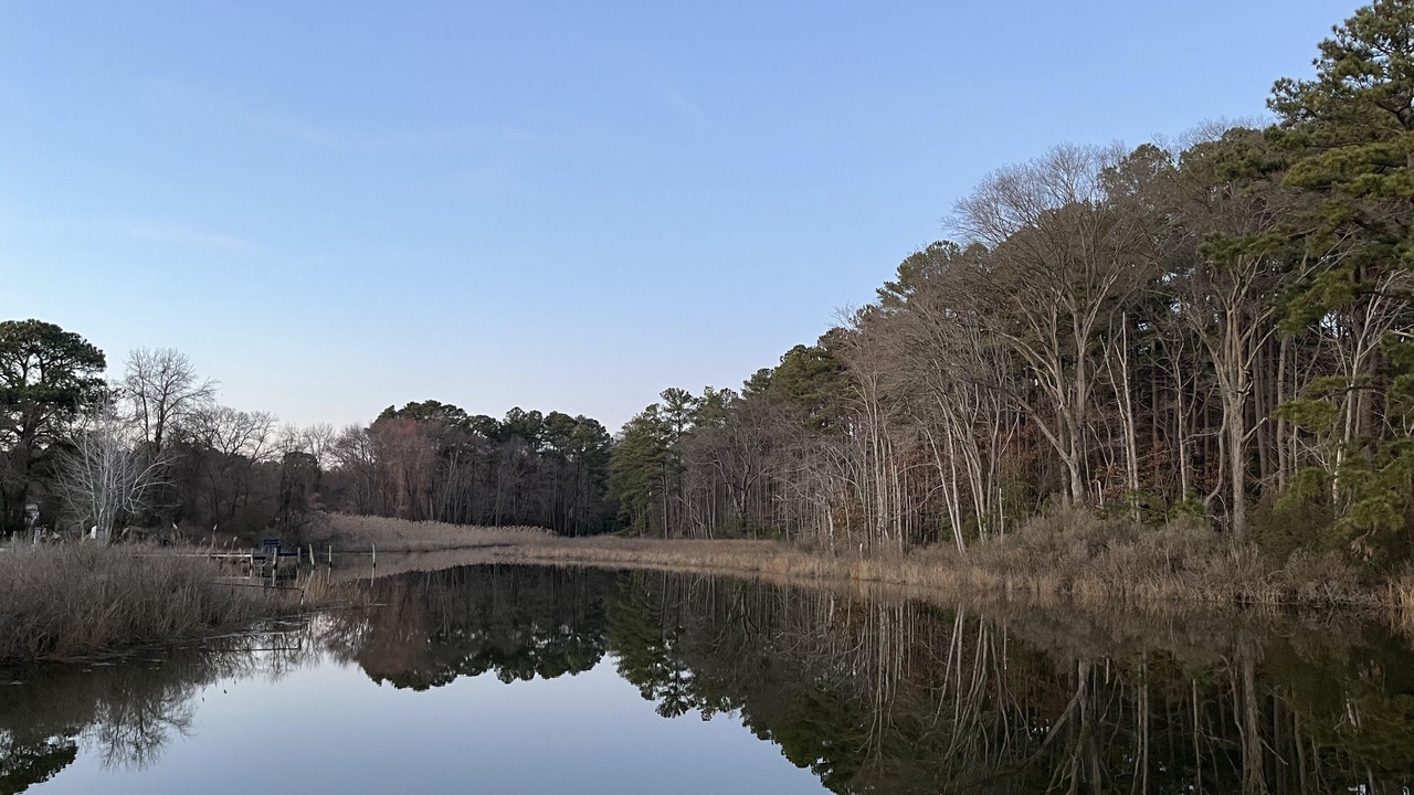 Photo of Others in Avenue