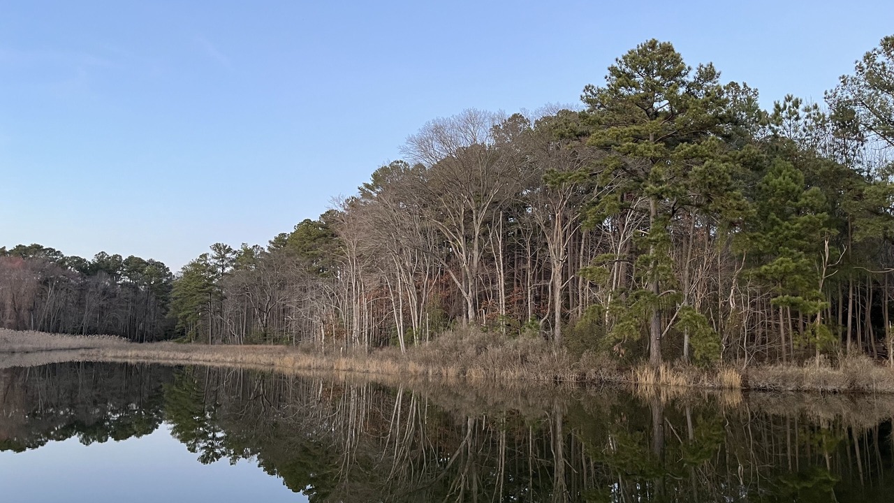 Photo of Others in Avenue