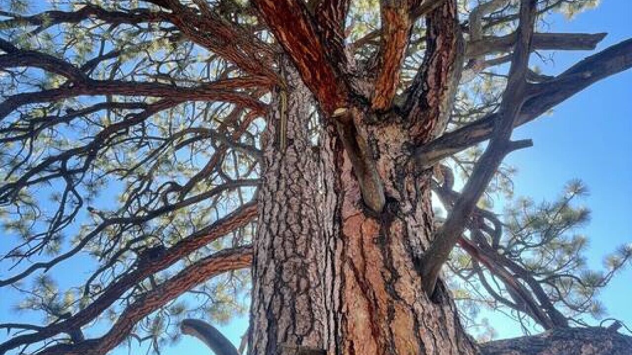 Photo of Outdoor in La Sal