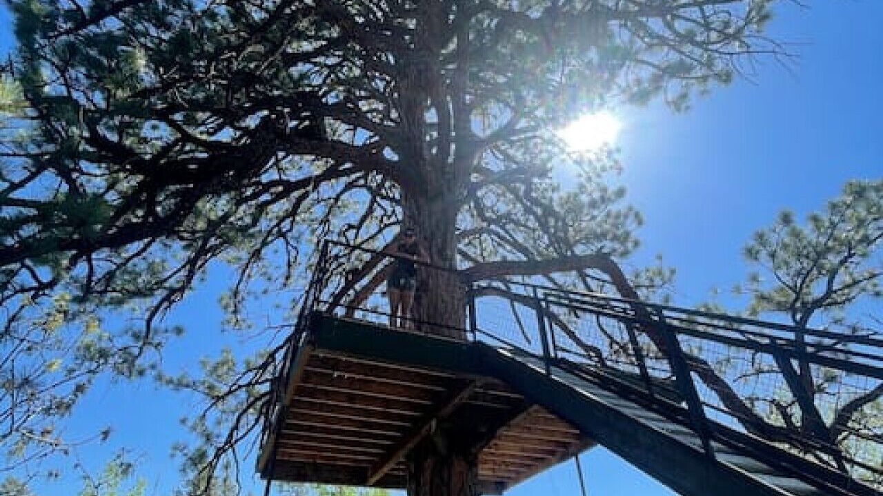 Photo of Others in La Sal