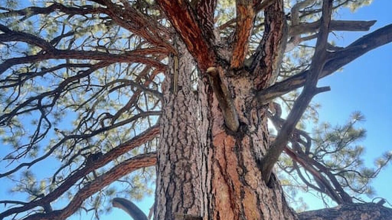 Photo of Others in La Sal