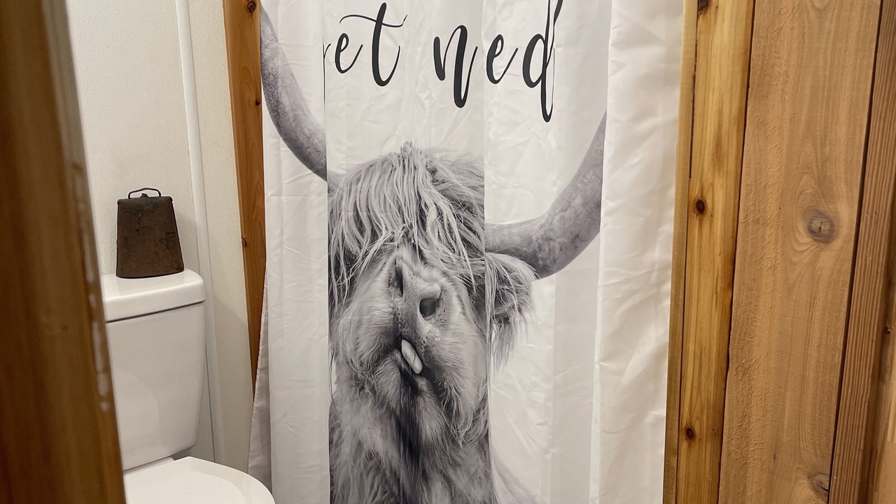 Photo of Bathroom in Zavalla