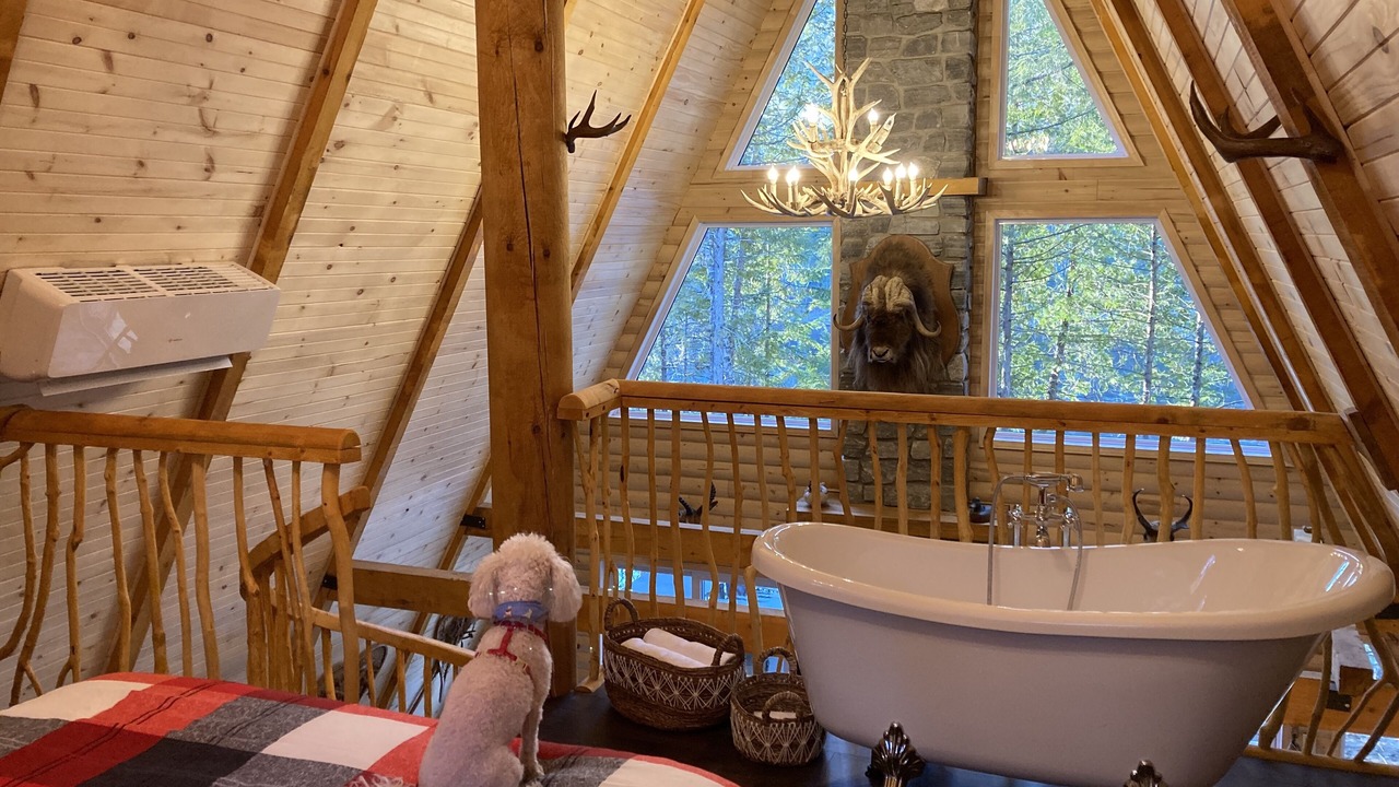 Photo of Bedroom in Mauricie
