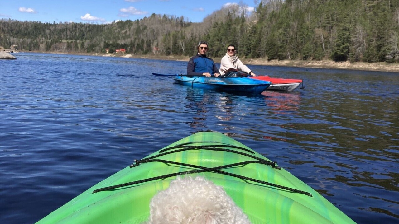 Photo of Others in Mauricie