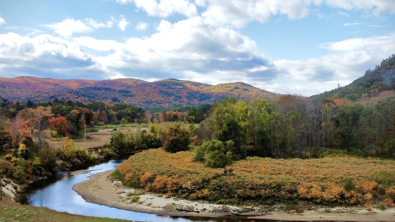 Photo of Others in Rumney