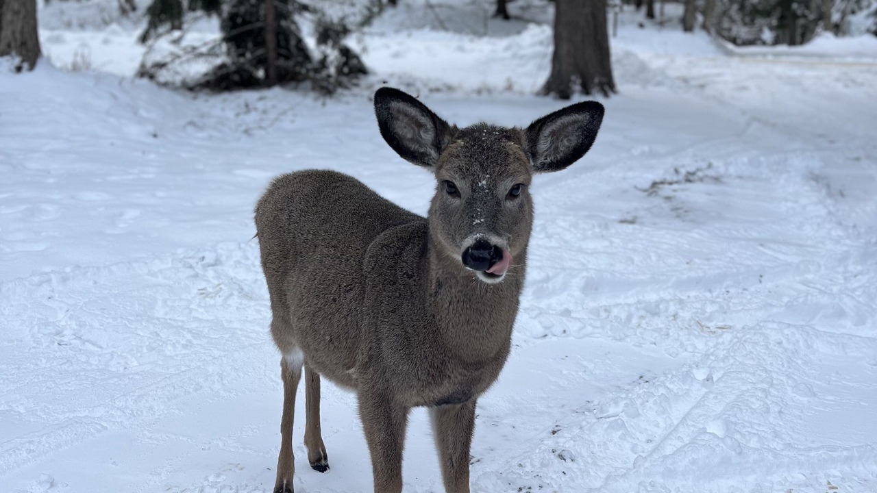 Photo of Others in Town of Webb