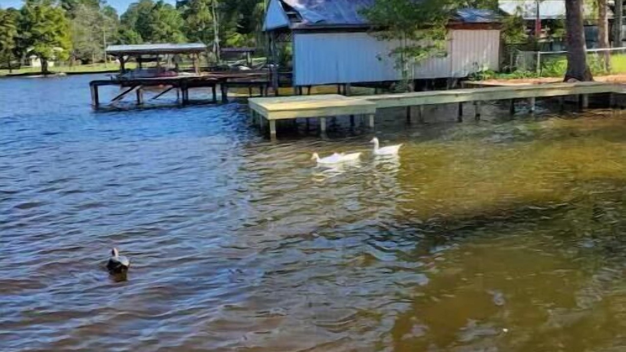 Photo of Others in Hillister