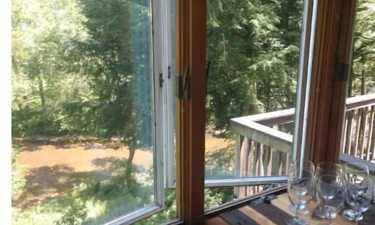 Photo of Others in Bellville