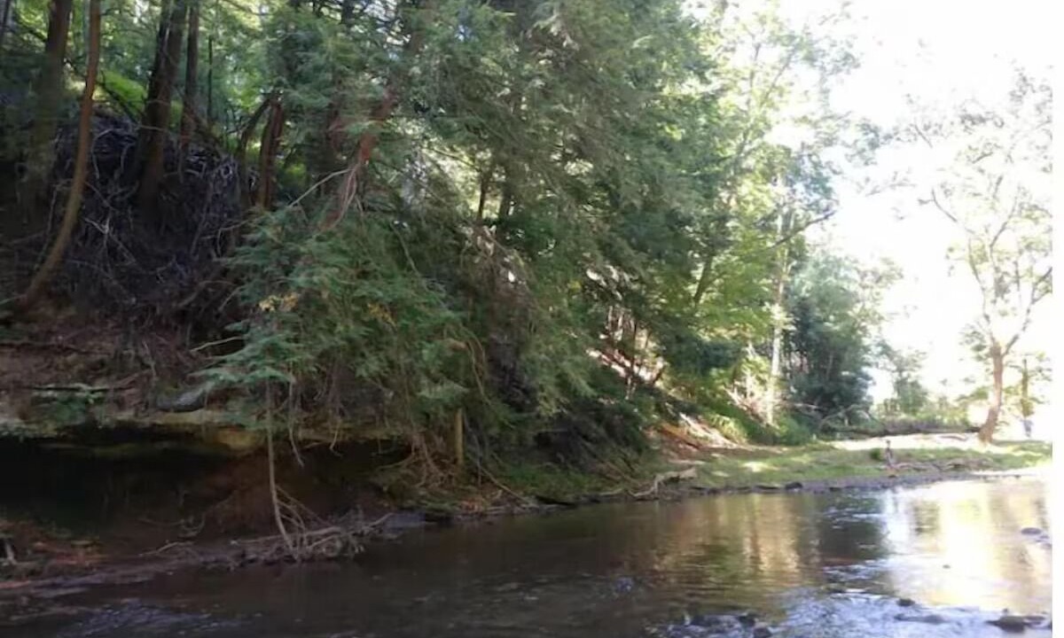 Photo of Others in Bellville