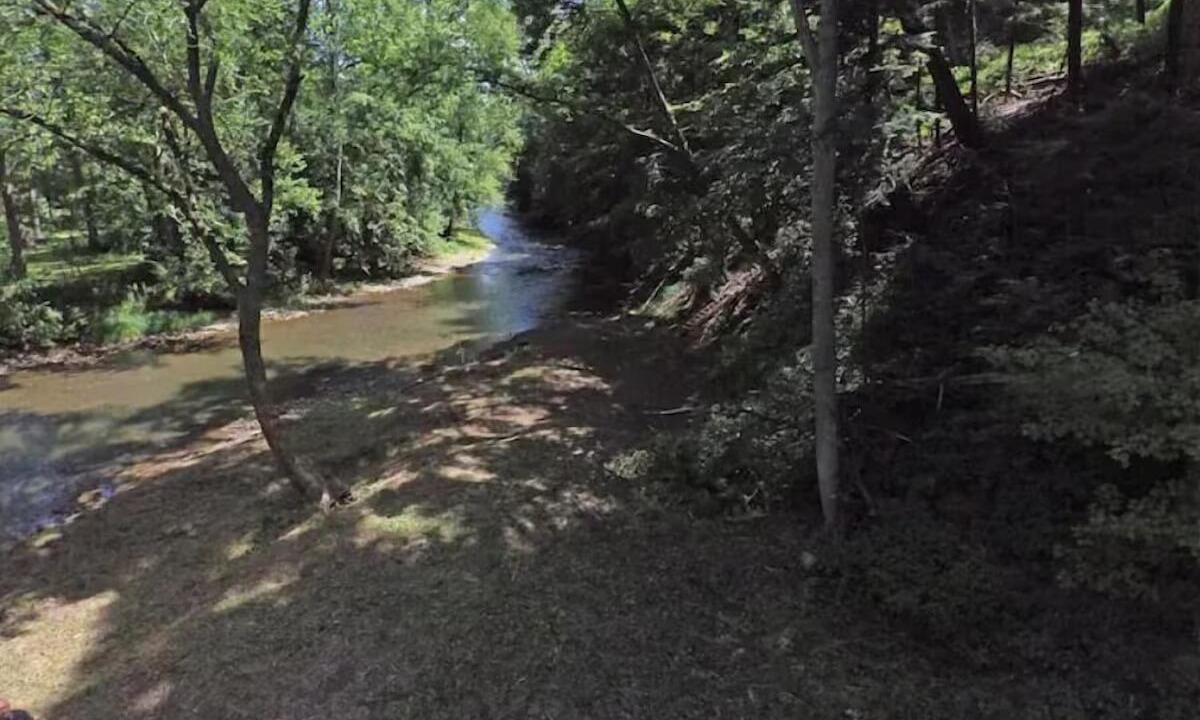 Photo of Others in Bellville