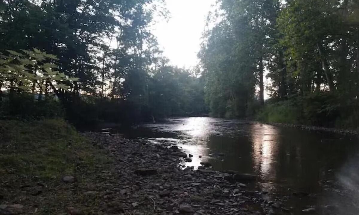 Photo of Others in Bellville