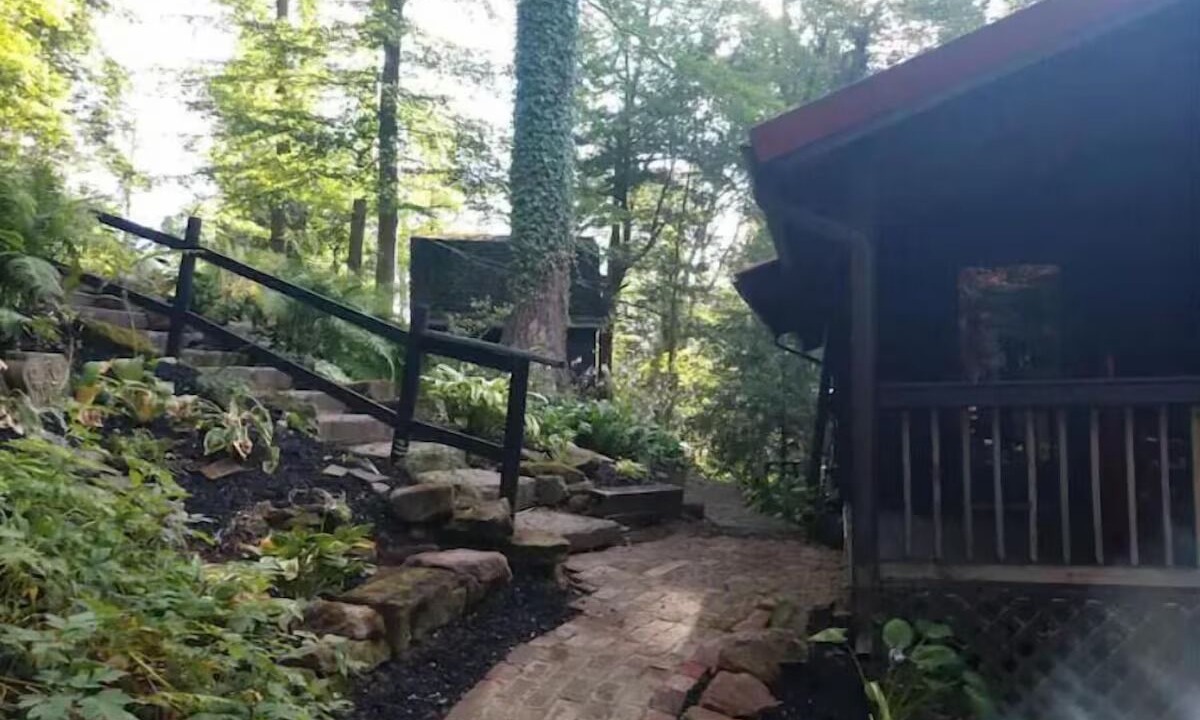 Photo of Others in Bellville