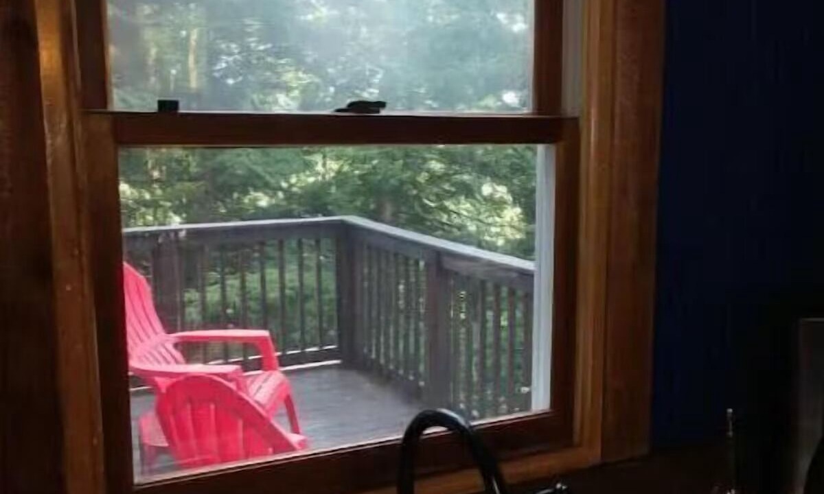 Photo of Others in Bellville