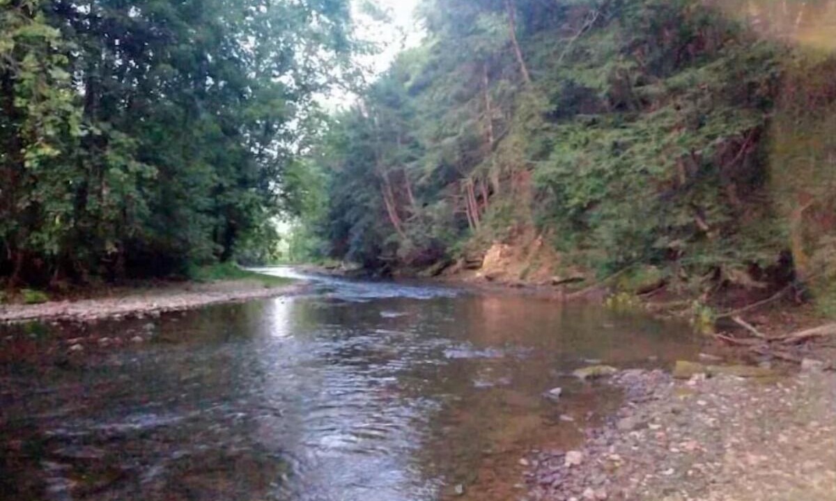 Photo of Others in Bellville