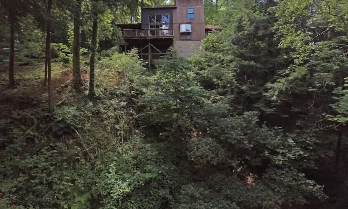 Photo of Others in Bellville