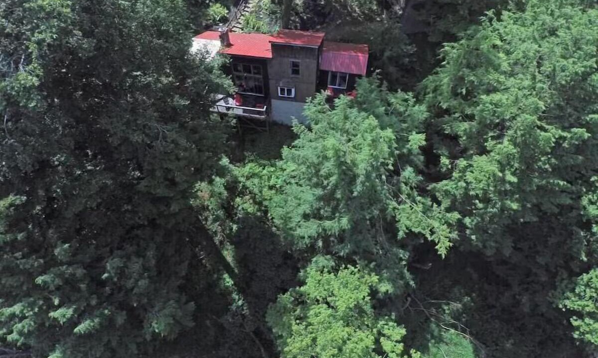 Photo of Others in Bellville