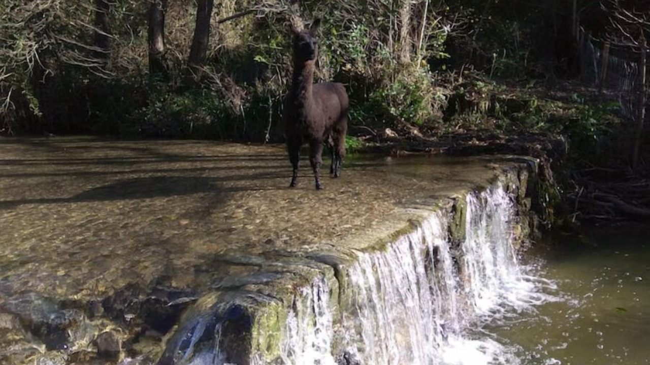Photo of Outdoor in Cros